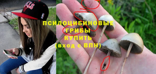 a pvp Алексеевка